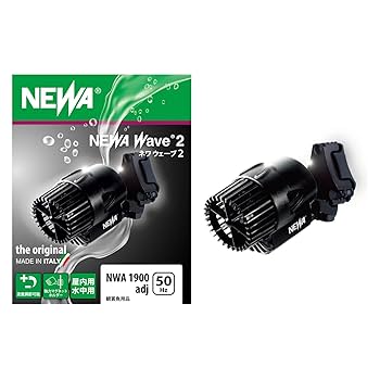 ライフウェーブ　2本未使用に近い中古 ホンダ ライブDIO ZX (931864) | 中古バイク・新車の事なら